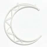 Aerial Moon Lyra &ndash; кільце для повітряної гімнастики у формі місяця &mdash; купити в Україні